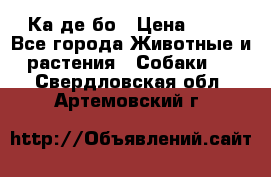 Ка де бо › Цена ­ 25 - Все города Животные и растения » Собаки   . Свердловская обл.,Артемовский г.